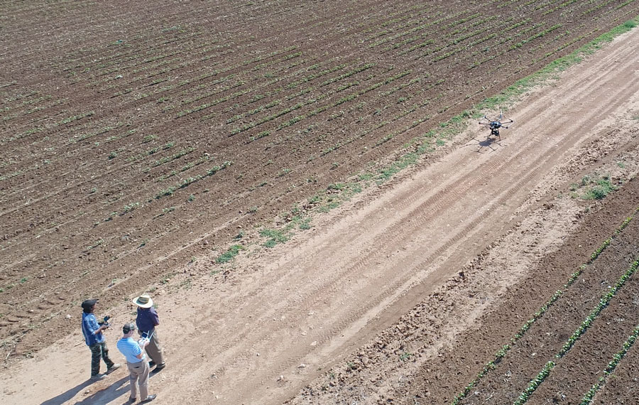 Three research team members watch a drone take off in the field.