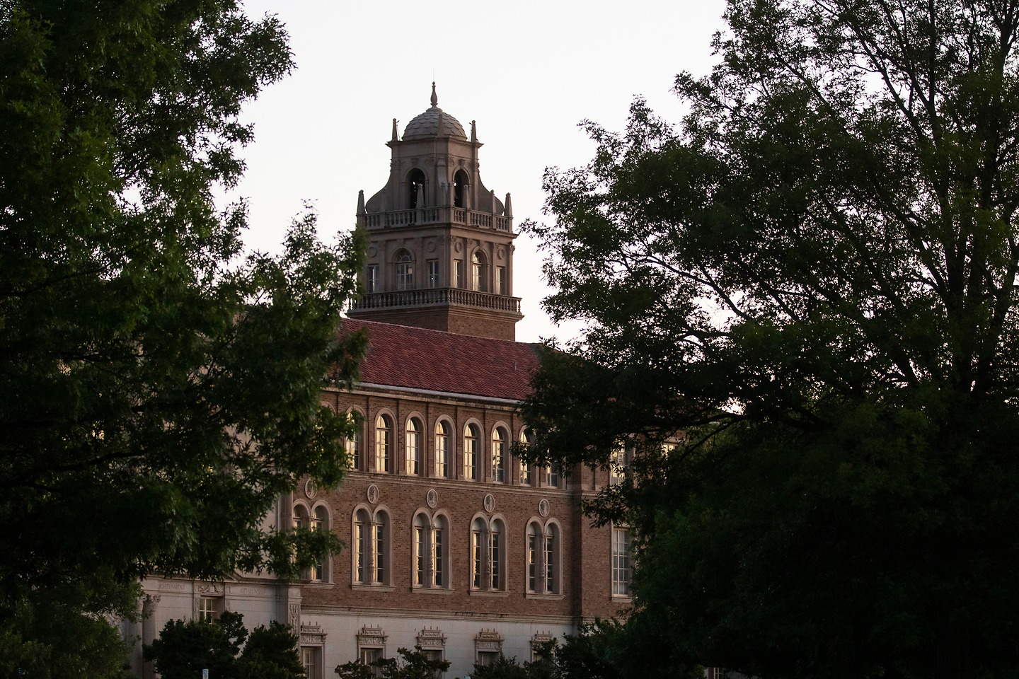 Section Image