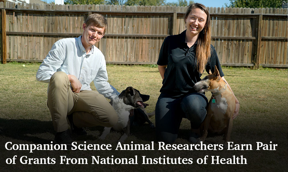 Nathan Hall and Alexandra Protopopova kneeling with their dogs next to them