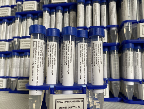 A large collection of blue and white vials containing viral transport media to be used in COVID-19 testing.