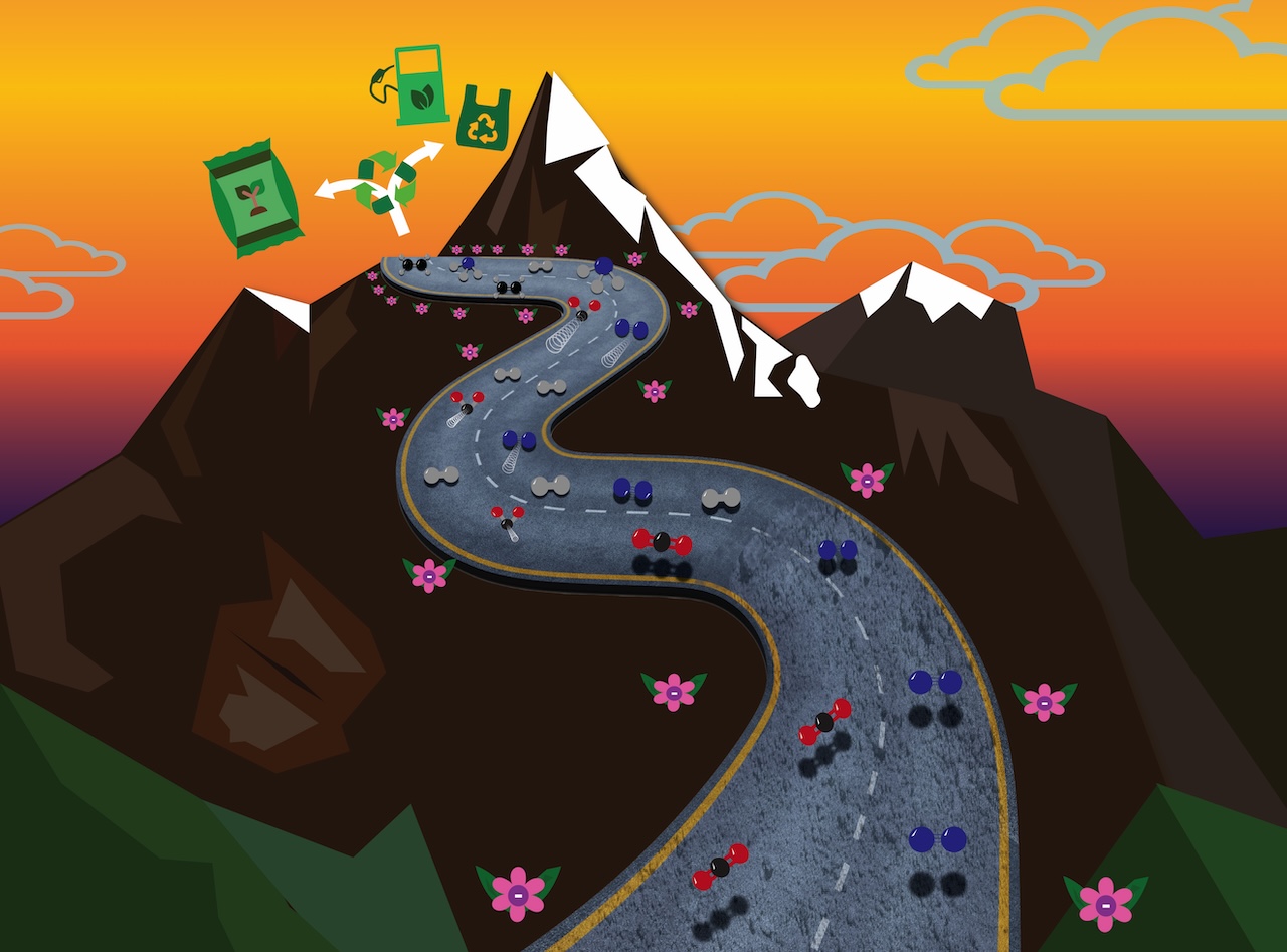 Portfolio Image