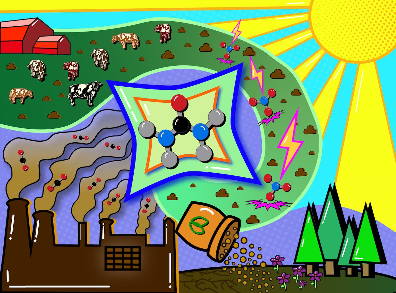 Portfolio Image