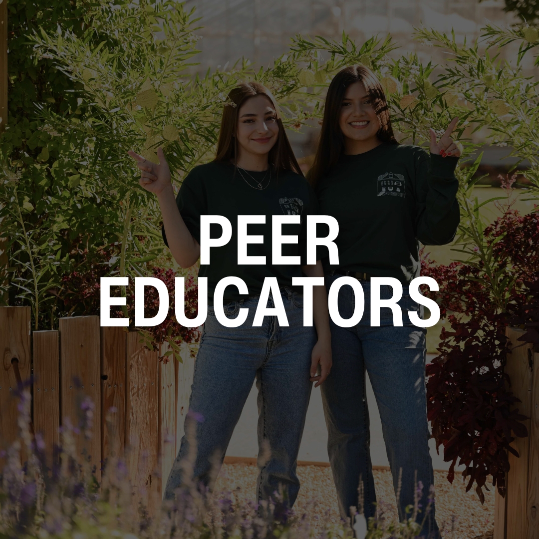 RISE Peer Educators