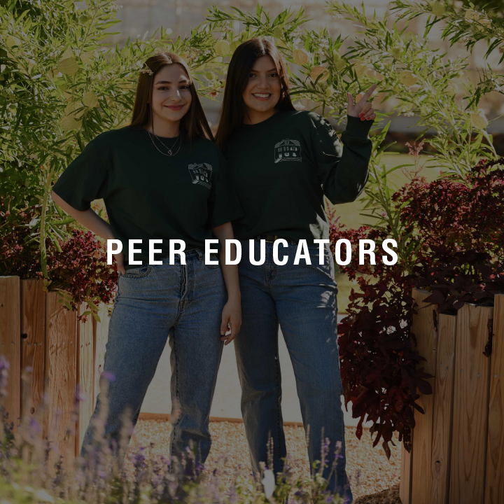 Become a paid Peer Educator and promote student wellness