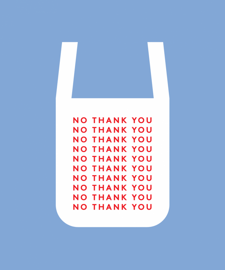 no thank you bag