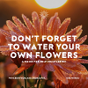 Don't Forget to Water Your Own Flowers