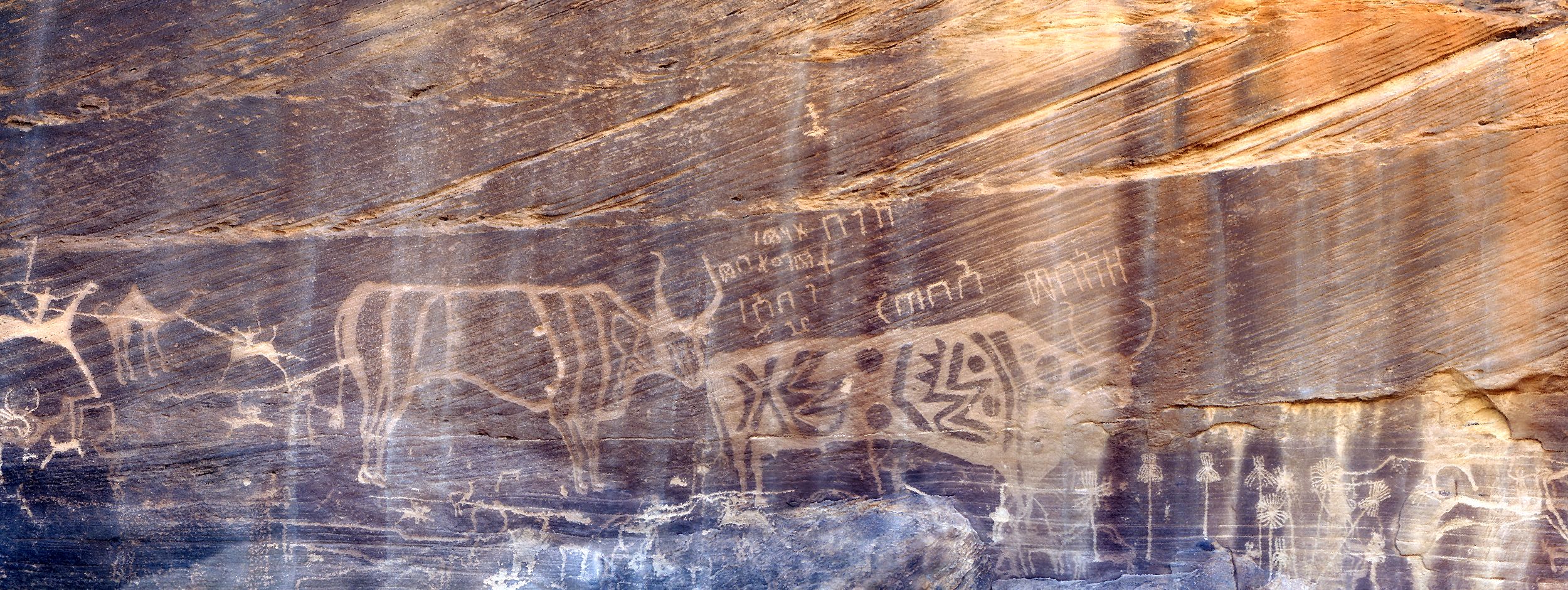 Visualization of a rock art panel in Saudi Arabia.