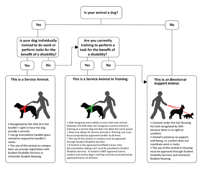 Flow chart to determine what type of animal. Text description after image.