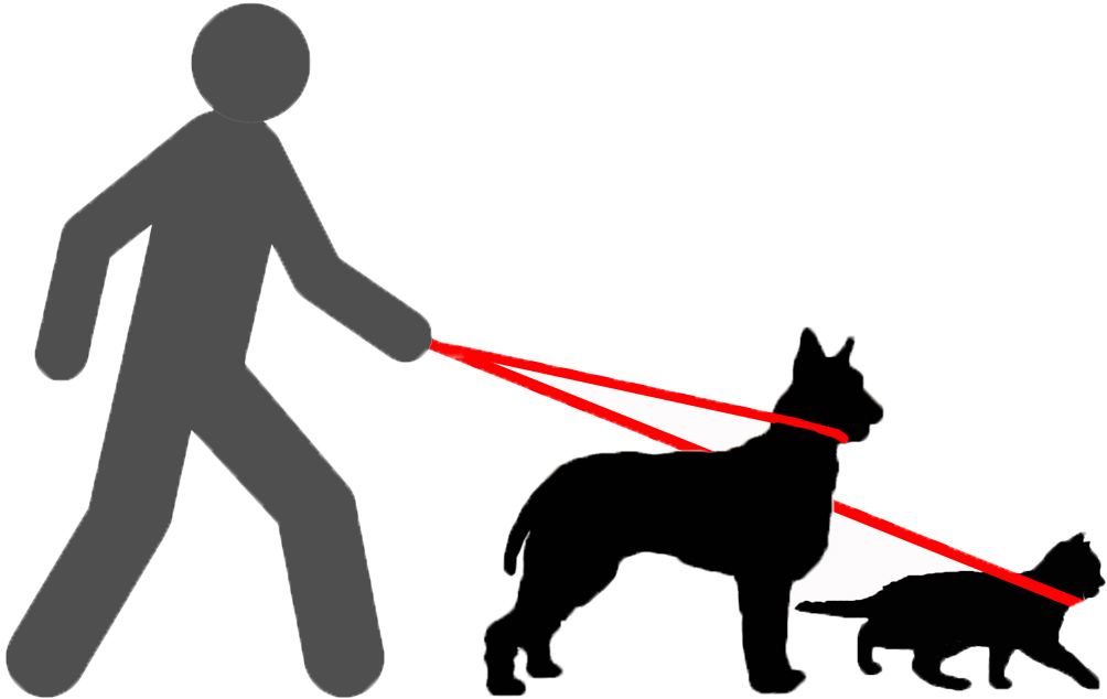 Clip art of a man holding the leash of a dog and a cat.