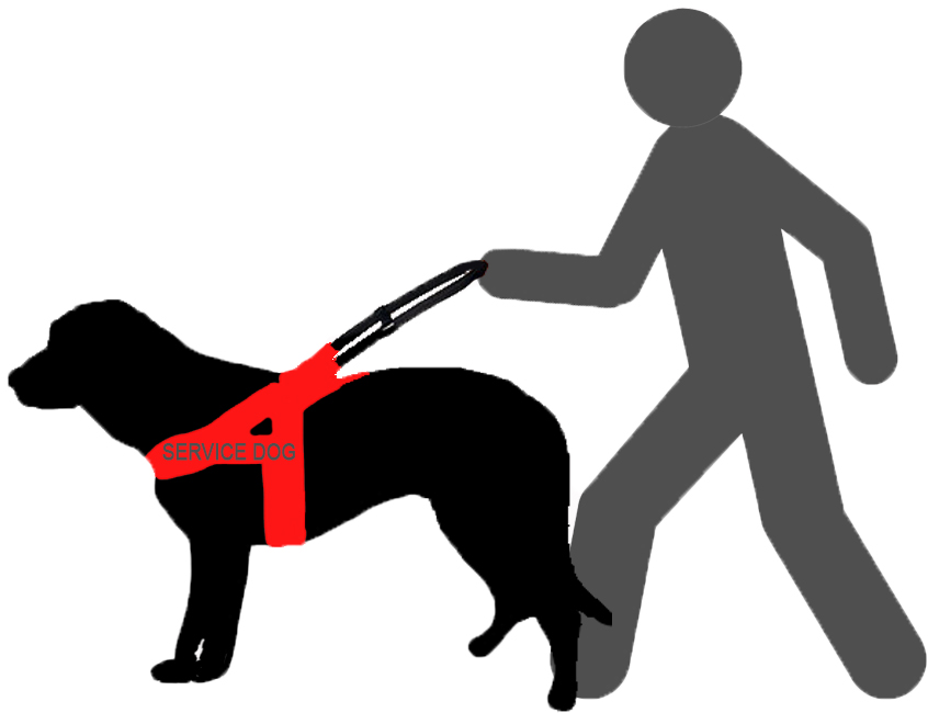 Clip art man holding leash of dog with red service dog vest.