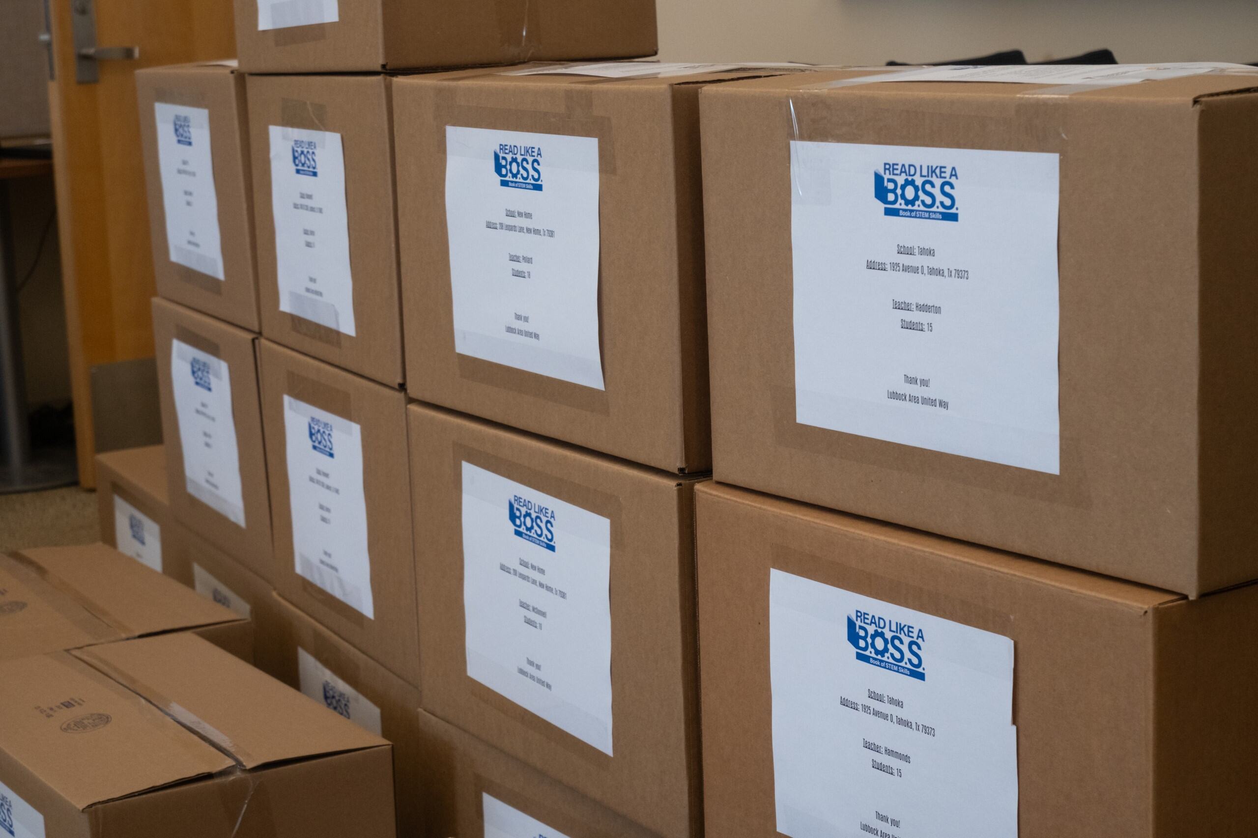 Read Like A Boss Boxes