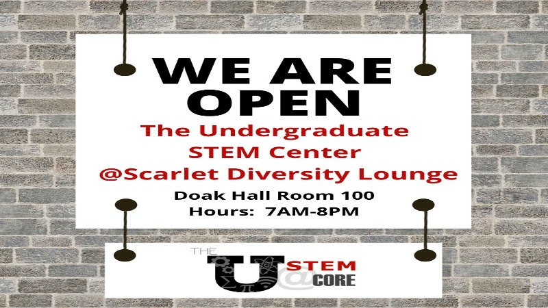 Undergrduate STEM Center