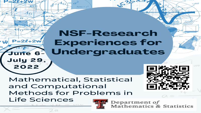 NSF-REU Department of Mathematics and Statistics