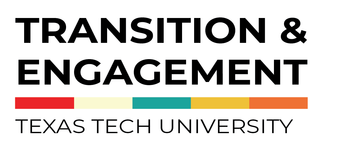 Text logo saying Transition and Engagement logo with five color bars