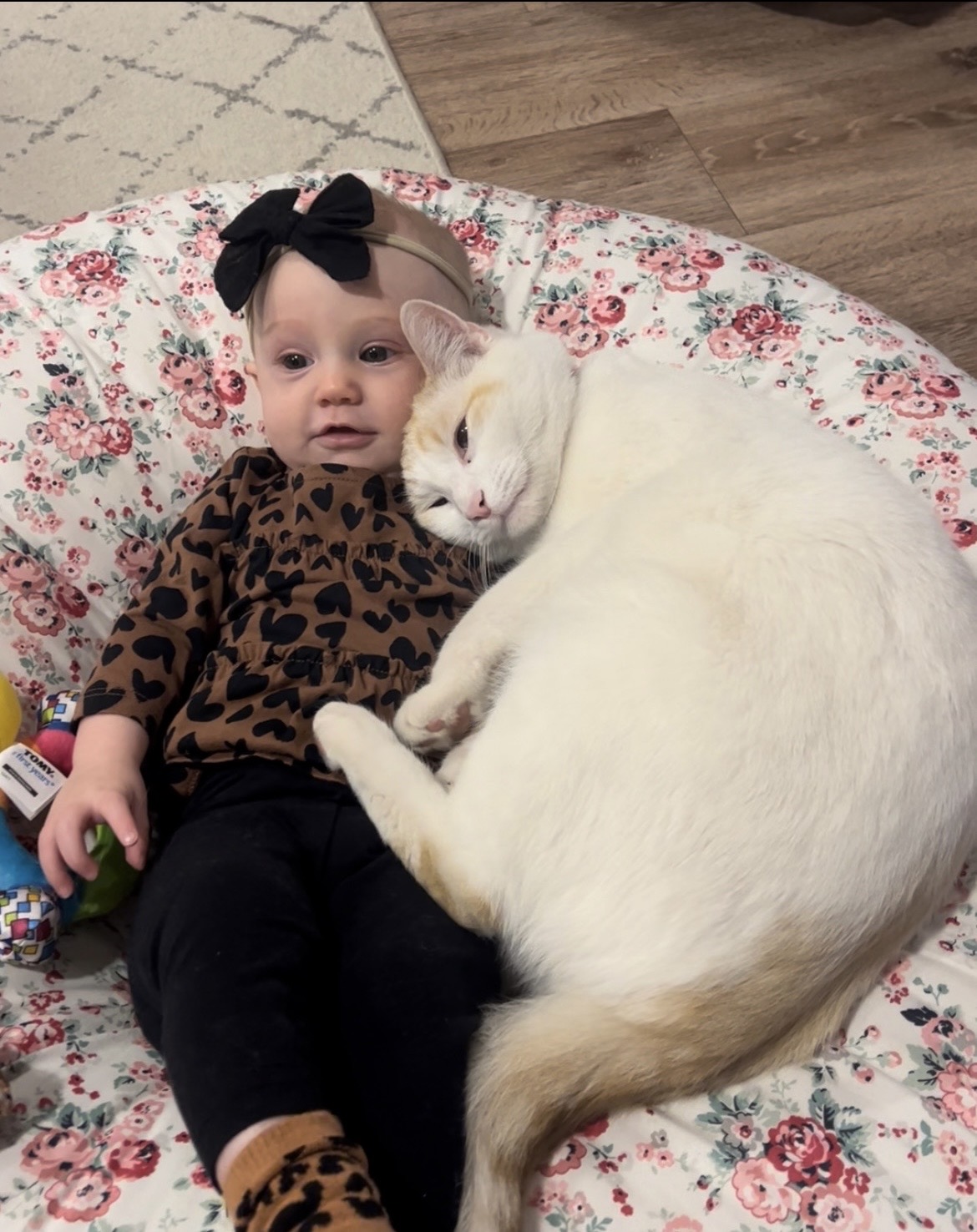 Cat and baby laying beside each other