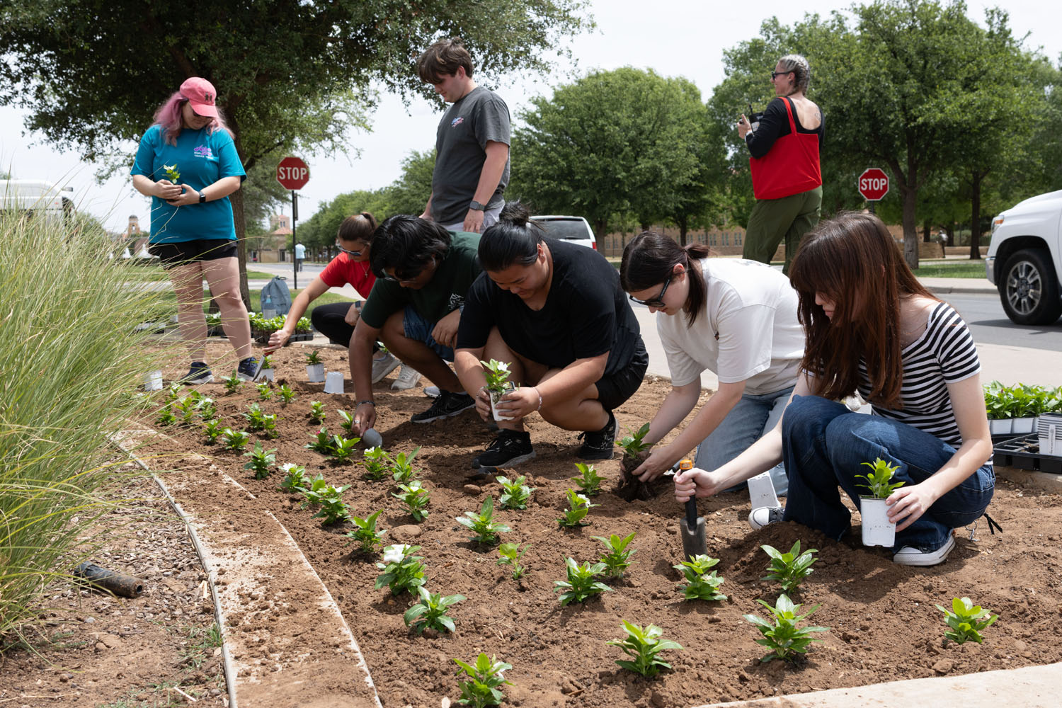 Arbor Day 4