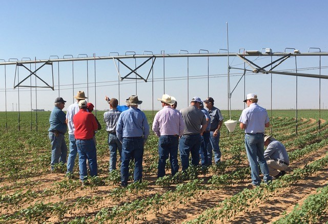 TAWC Field Walk