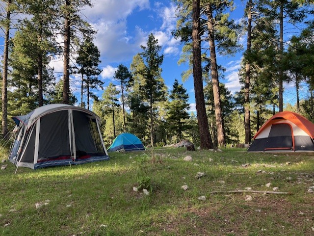New Mexico Trip