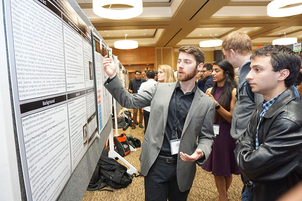 undergraduate research