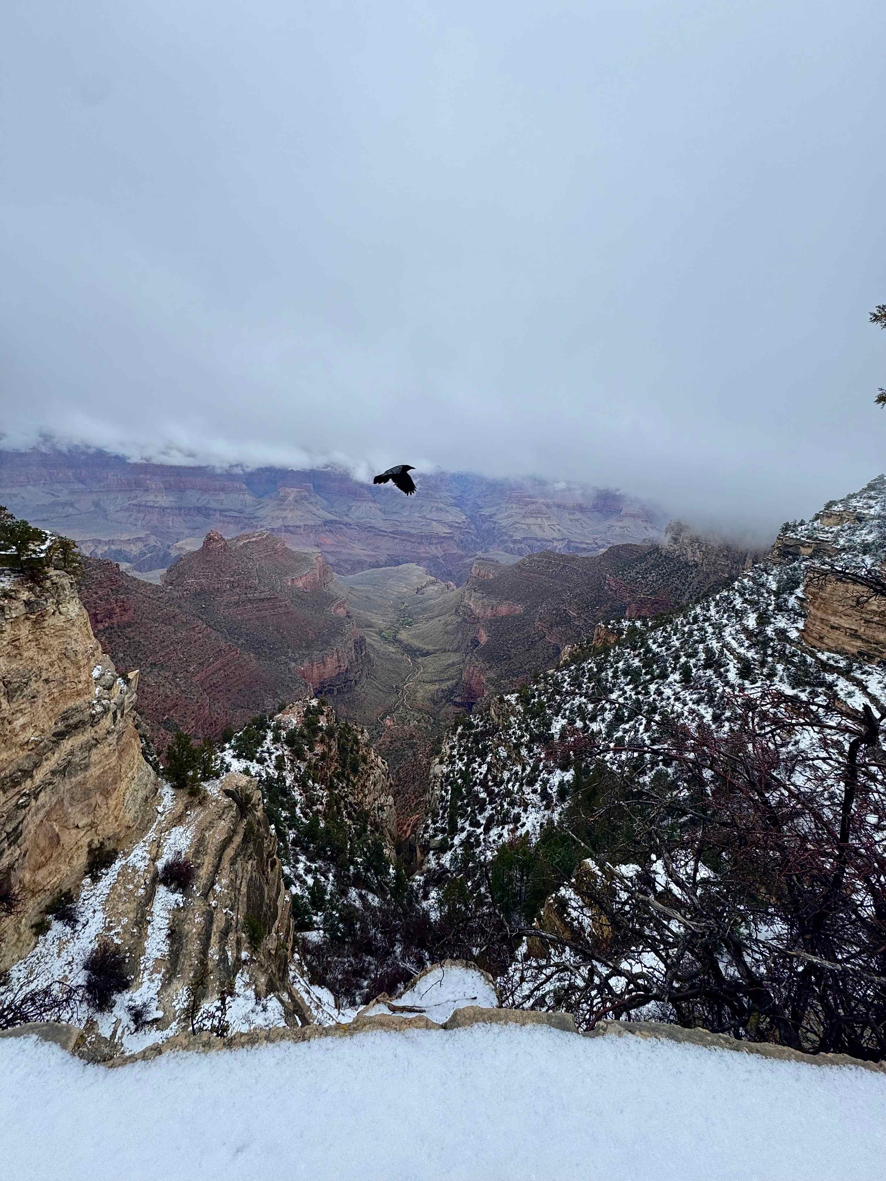 Grand Canyon Overlook