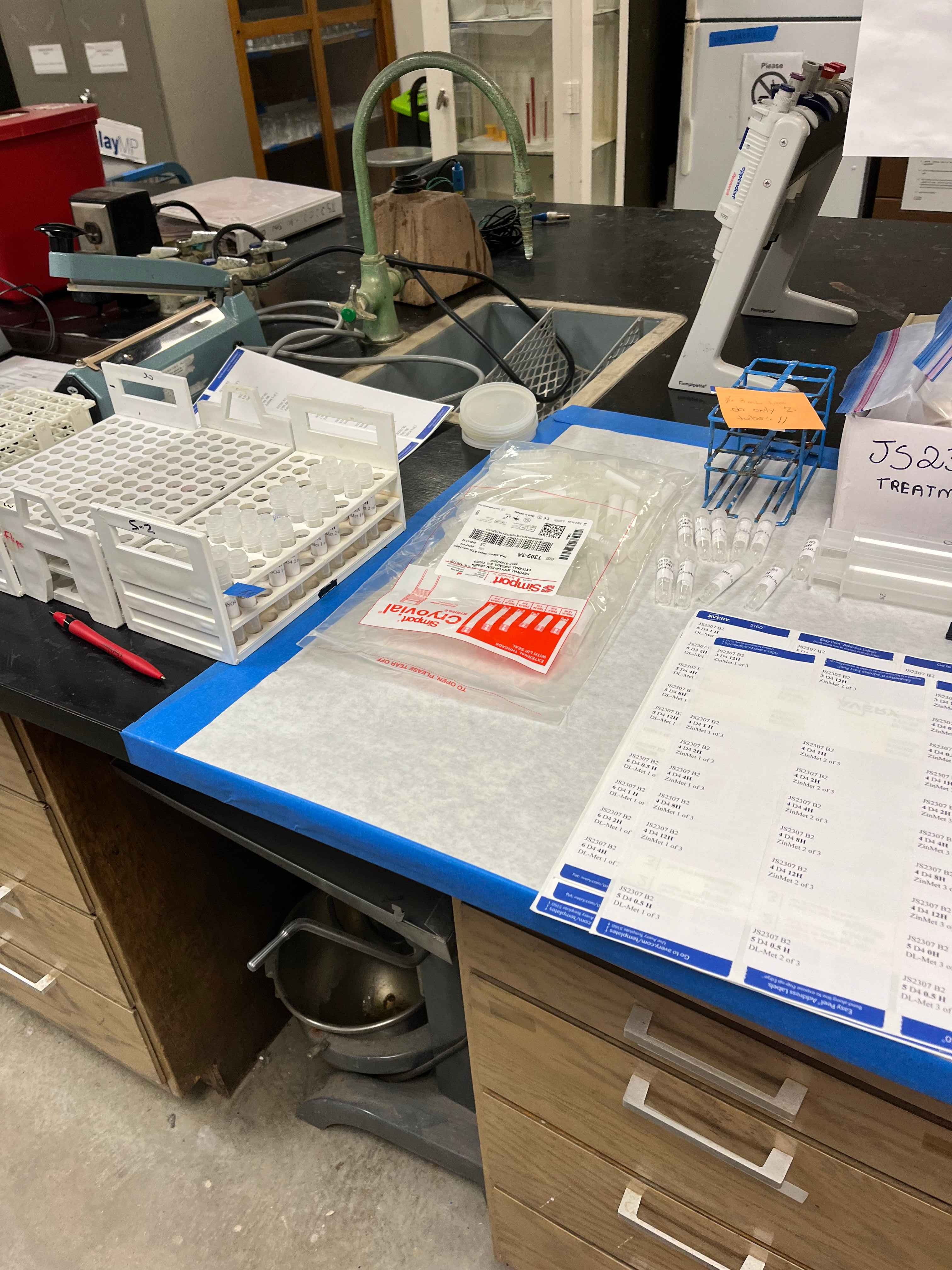Lab