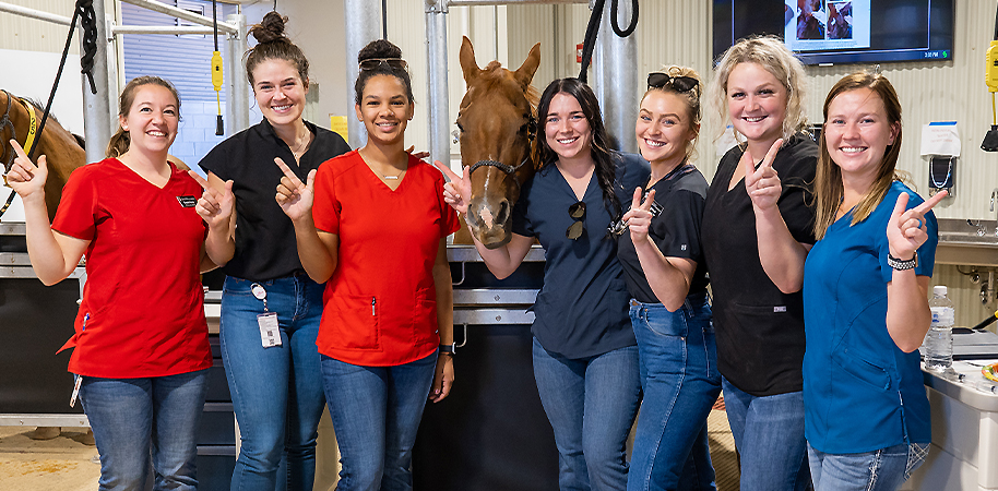 Seven veterinary students standing with a horse in a pen