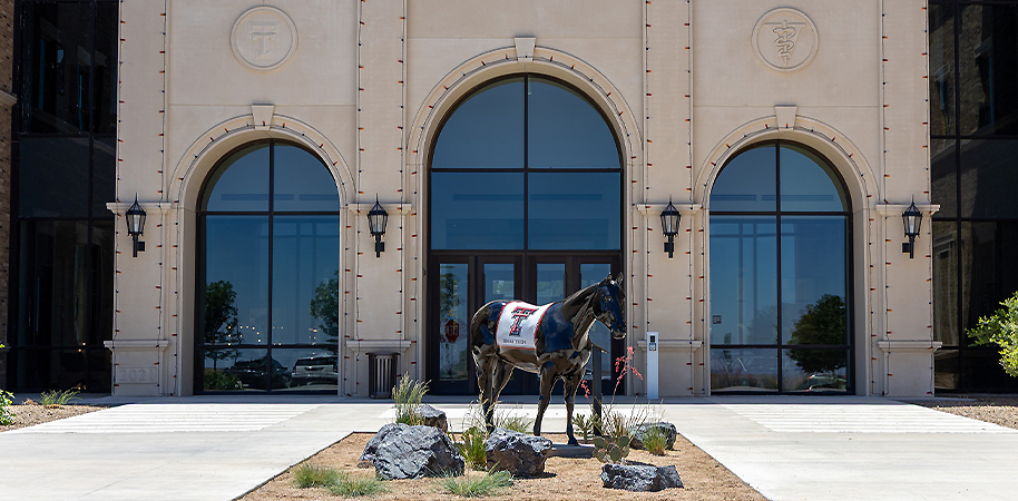 The front of the School of Veterinary Medicine