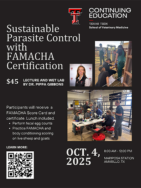 CE Flyer