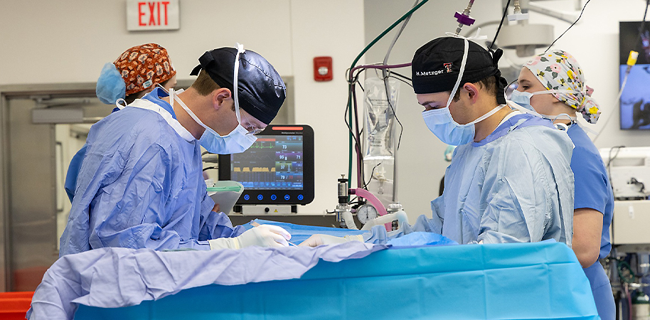 Veterinary students performing surgery in a surgery suite
