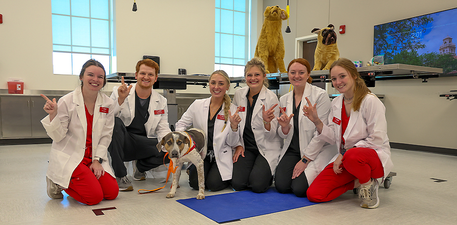 Veterinary students taking a picture with a dog