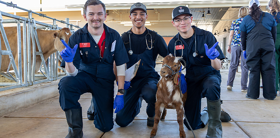 Veterinary students taking a picture with a goat