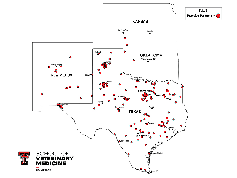 SVM Practice Partner Map