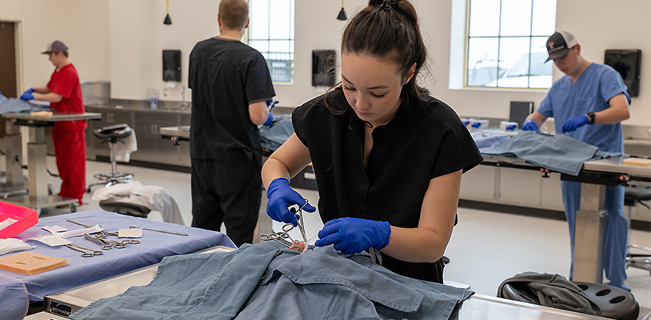 Vet student practing on a spay model