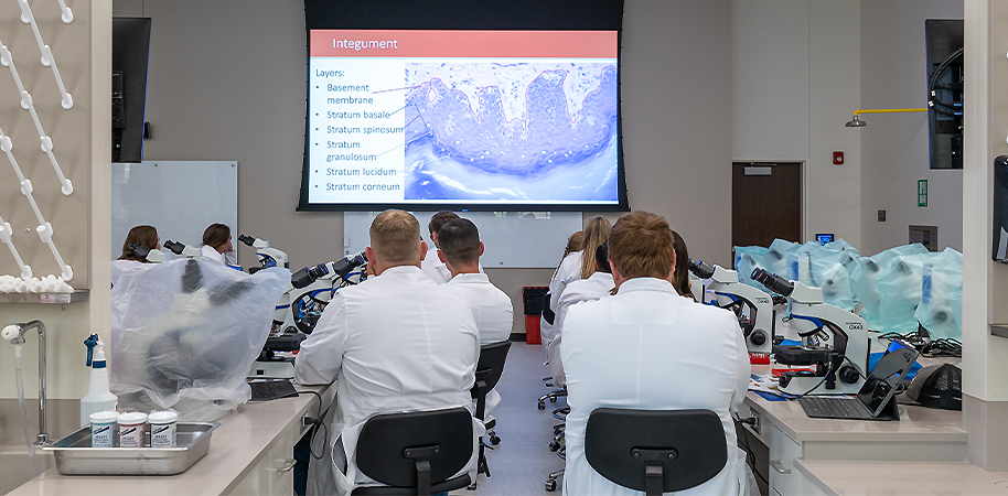 Vet students in ologies lab