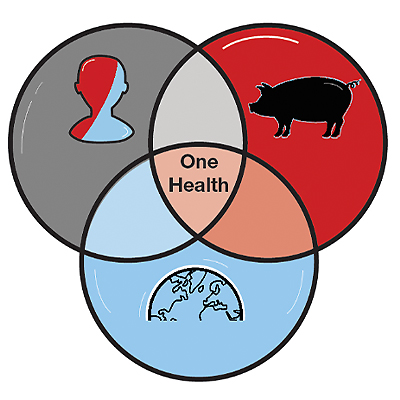 One Health Chart