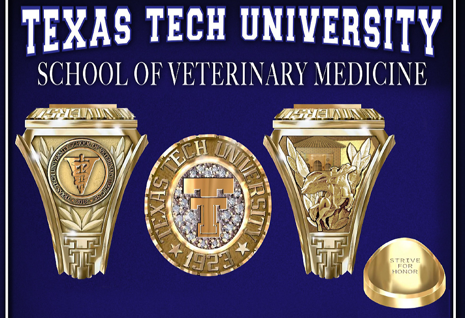 School Ring