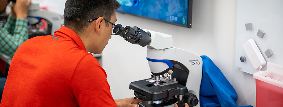 Student looking into microscope