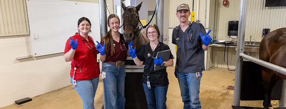 Vet students and a horse