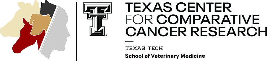 TC3R Logo