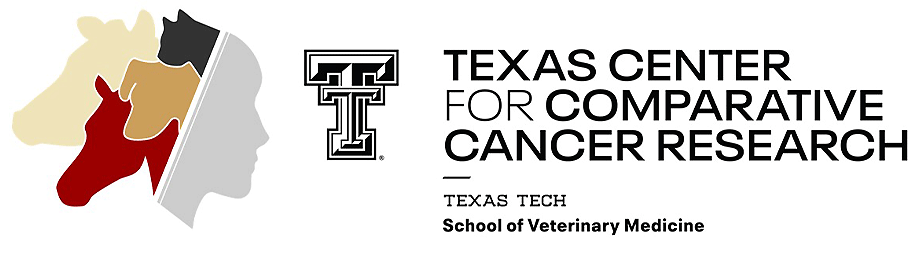 TC3R Logo