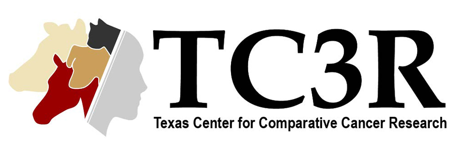 TC3R Logo