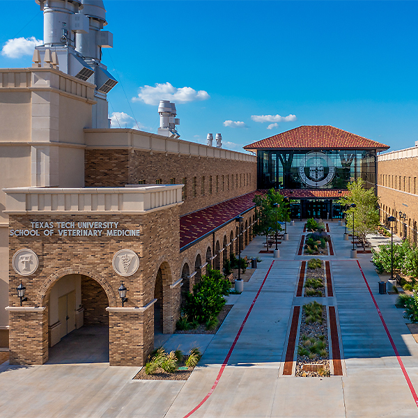 amarillo campus