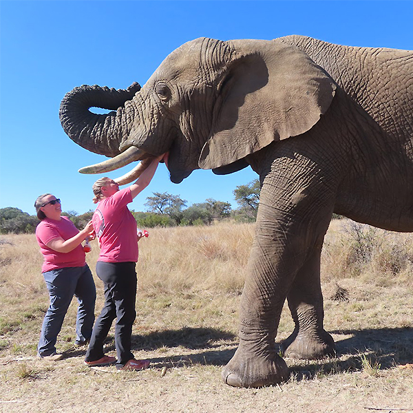 Nichole and Bethany feeding elephant