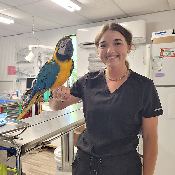 Student holding Parrot