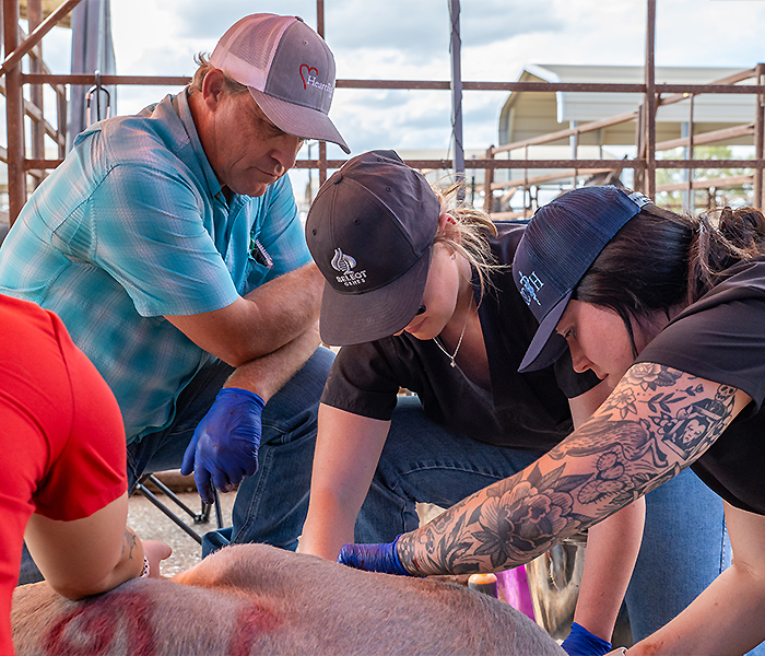 Veterinarian helping students 