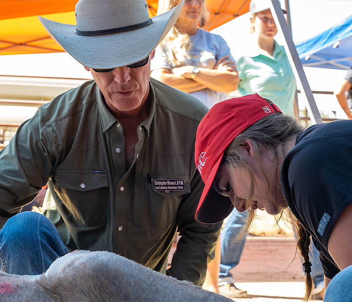 Veterinarian helping students