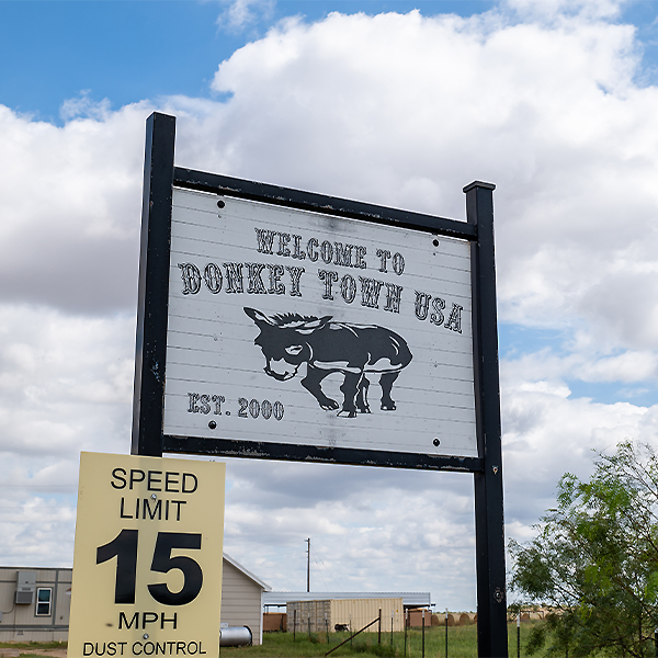 Peaceful Valley Donkey Rescue Entrance