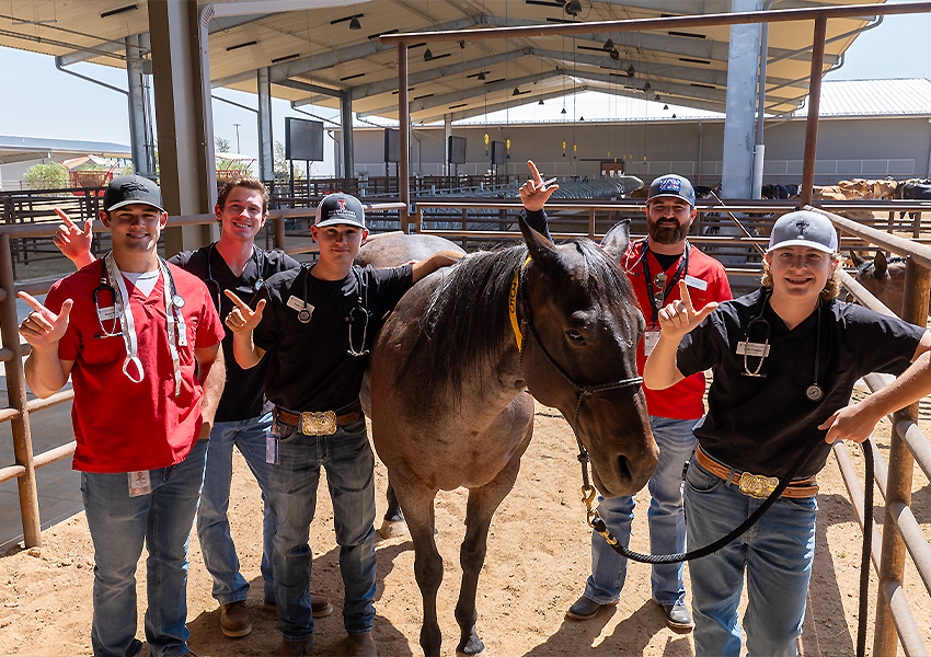 Kayden Tanner Helping a Horse