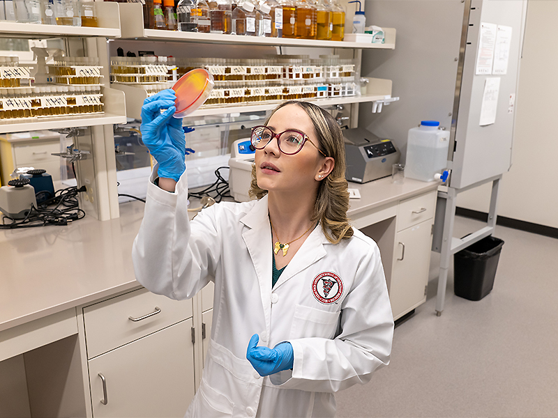 Maria looking at research plate