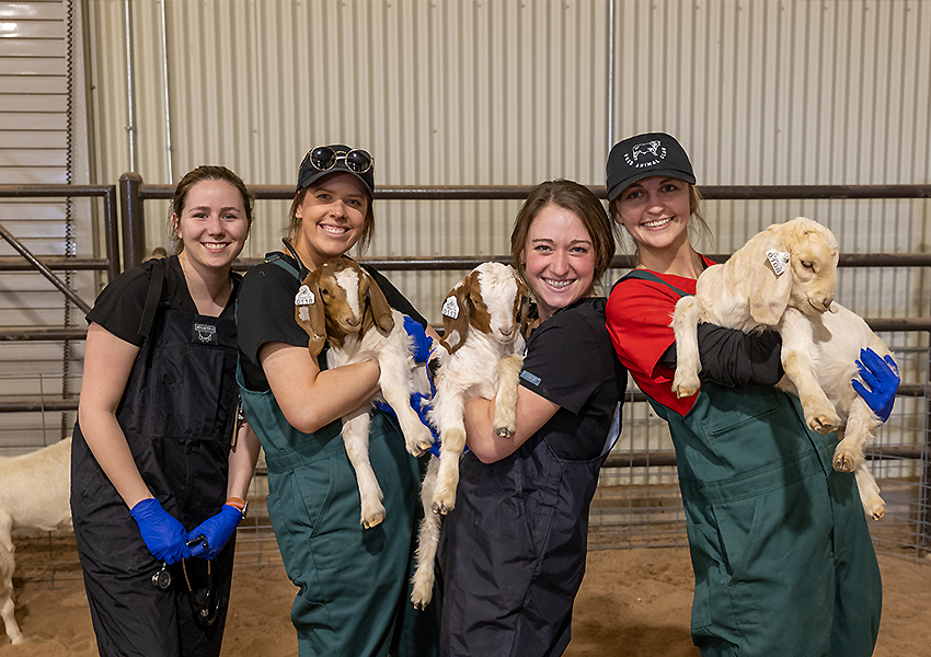 Railey taking picture with friends around goats